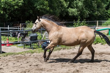 Bild 175 - Vivi